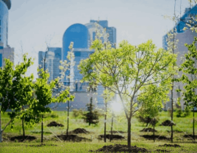 Ошибка загрузки